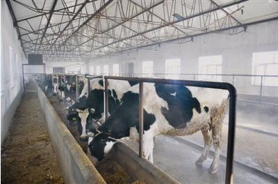 黑龍江齊齊哈爾富?？h光明乳業(yè) 一拖三加一 恒壓供水設(shè)備